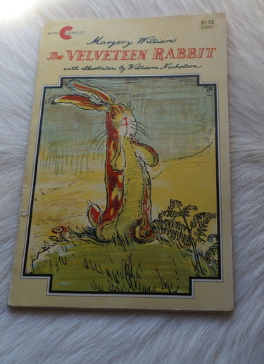Couverture de The Velveteen Rabbit: An Easter And Springtime Book For Kids