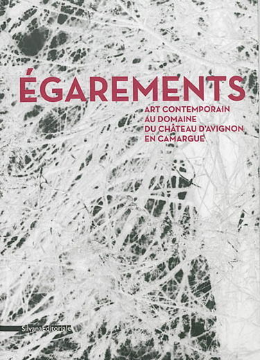 Egarements : art contemporain au Domaine du château d'Avignon en Camargue, du 15 juin au 20 octobre 2013