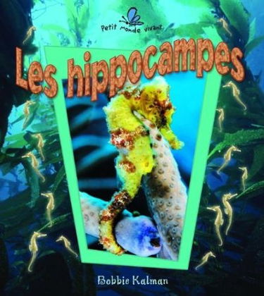 Les hippocampes