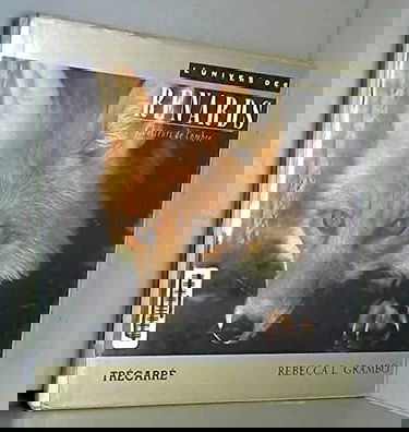 L'univers des renards