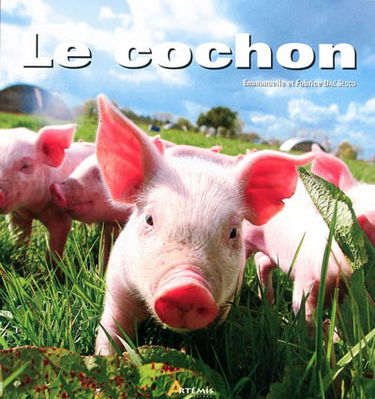 Le cochon