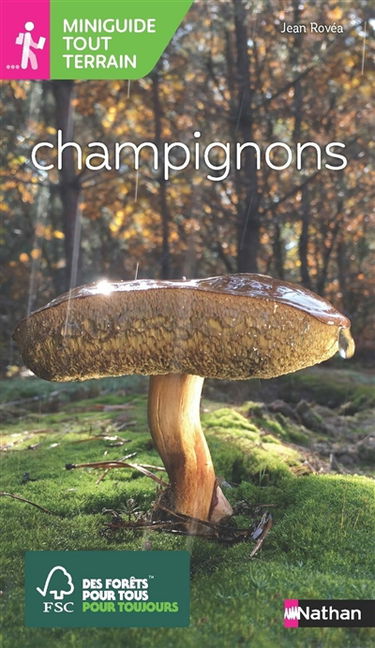 Champignons