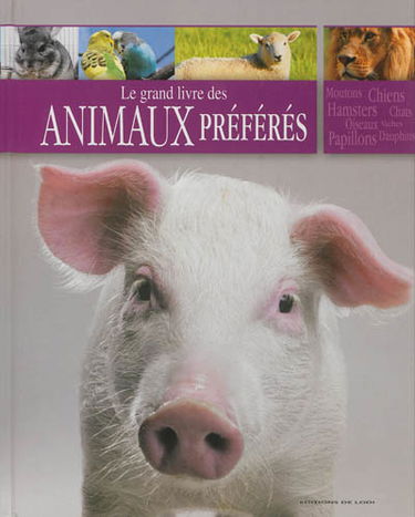 Nos animaux préférés