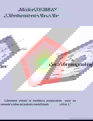 Les 5 formes galéniques: Comment choisir la meilleure préparation pour un remède à base de plantes médicinales