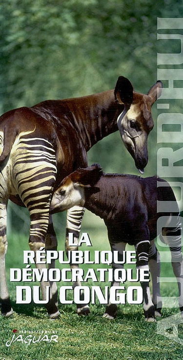 La République démocratique du Congo