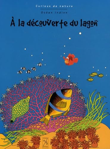 A la découverte du lagon
