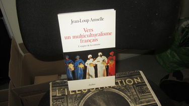 Vers un multiculturalisme français : l'empire de la coutume