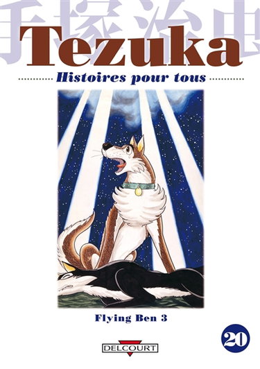 Histoires pour tous. Vol. 20. Flying Ben. Vol. 3