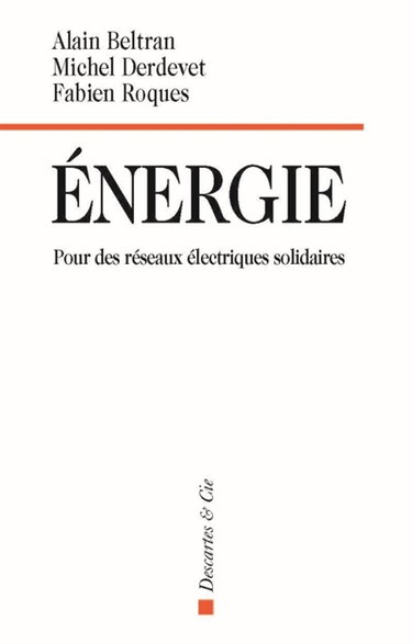 Energie : pour des réseaux électriques solidaires