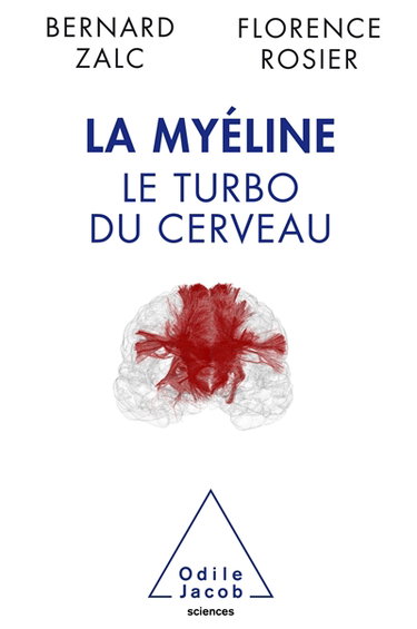 Couverture de La myéline, le turbo du cerveau