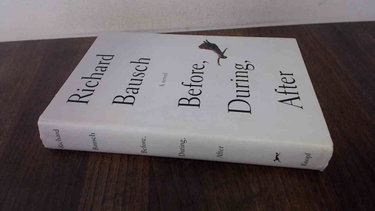 Couverture de Before, During, After