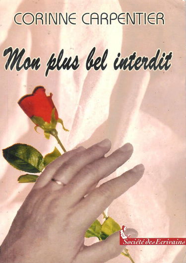 Mon plus bel interdit - roman