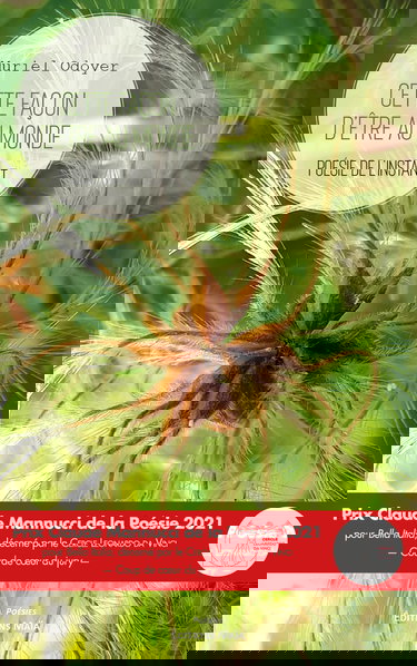 Cette façon d'être au monde: Poésie de l'instant