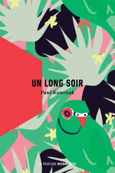 Couverture de Un long soir