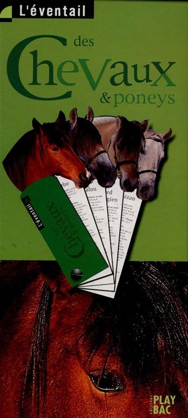 Les chevaux et poneys