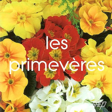 Les primevères