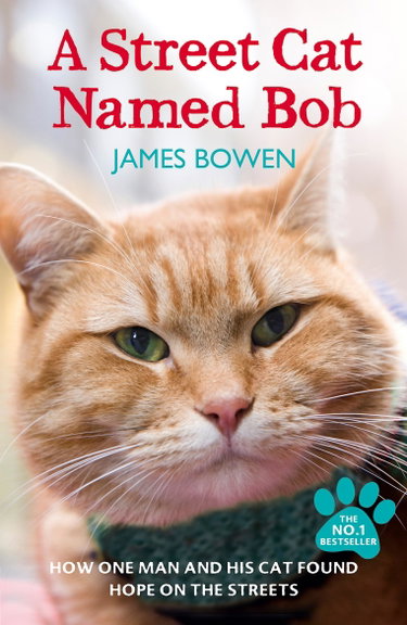Couverture de A Street Cat Named Bob: How one man and his cat found hope on the streets