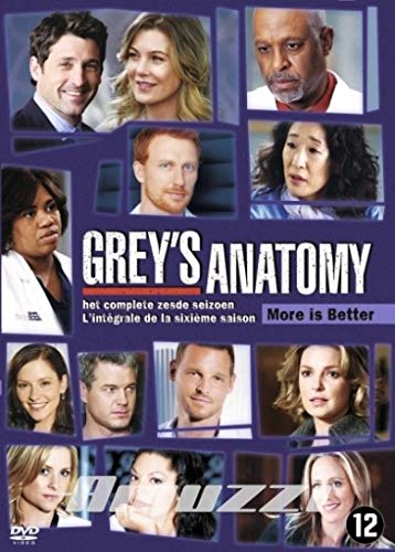 Couverture de Grey'S Anatomy Saison 6