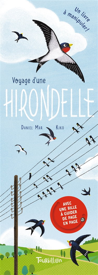 Couverture de Voyage d'une hirondelle