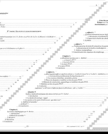 Supplément Revue Archéologique de Narbonnaise n° 42 : Quatre puits de l'agglomération routière gallo