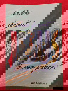 Que ferait jesus a ma place