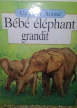 Bébé éléphant grandit