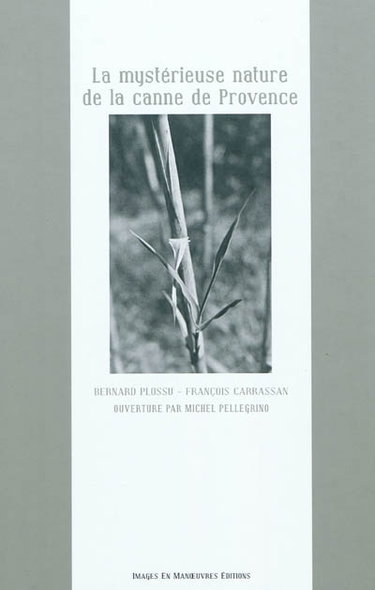 Couverture de La mystérieuse nature de la canne de Provence