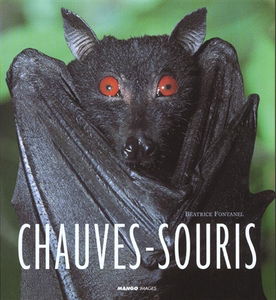 Chauves-souris