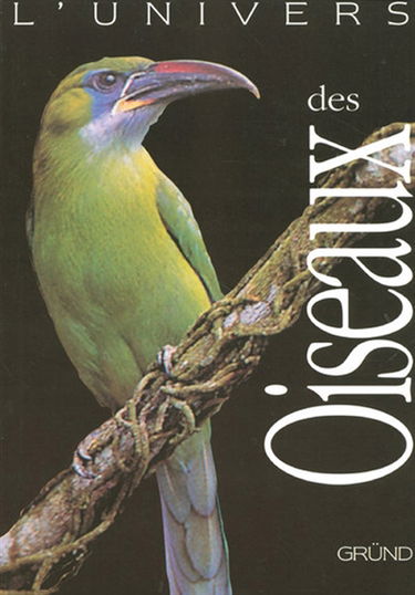 Des oiseaux