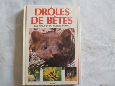Drôles de bêtes