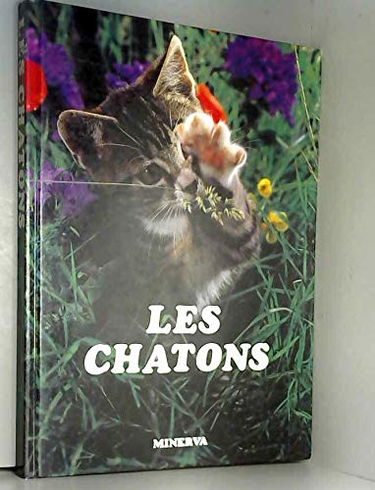Les chatons