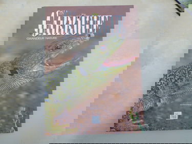 La garrigue : grandeur nature