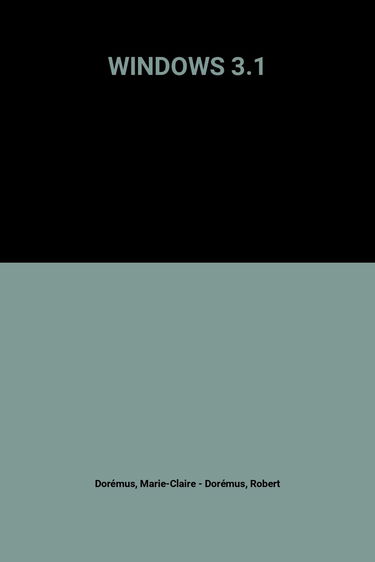 Windows 3.1
