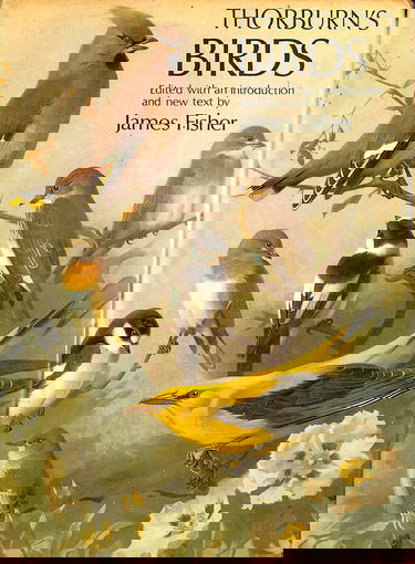 Thorburn's Birds