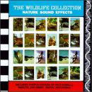 Wild Life Collection