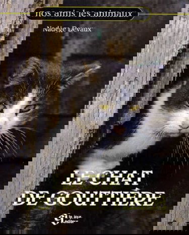 Le chat de gouttière