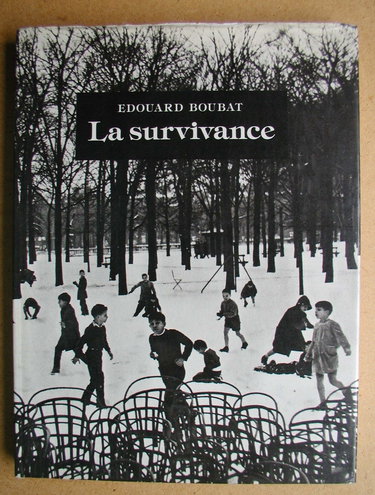 Couverture de La survivance