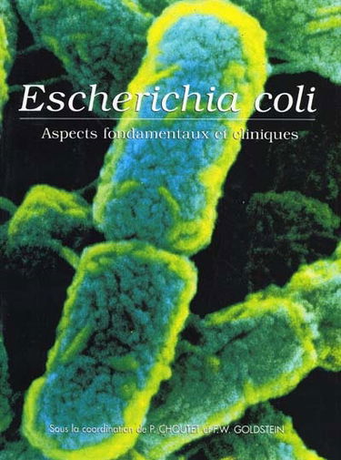 Escherichia coli : aspects fondamentaux et cliniques