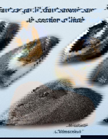 Tout ce qu'il faut savoir sur le cochon d'inde (nouvelle édition): nouvelle édition