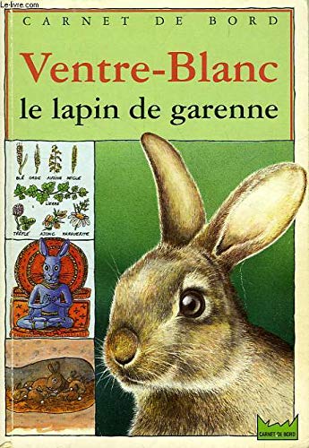 Ventre-Blanc le lapin de garenne