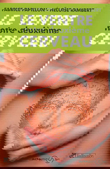 Le ventre : notre deuxième cerveau