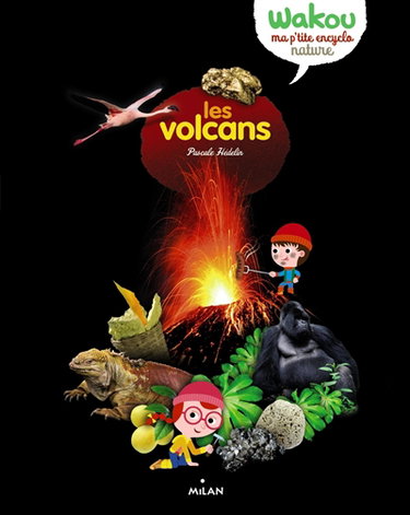 Couverture de Les volcans