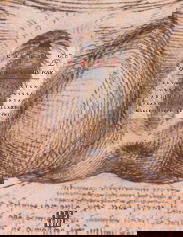 Cachez ce sexe que je ne saurais voir : l'immontrable du sexe féminin dévoilé par les femmes