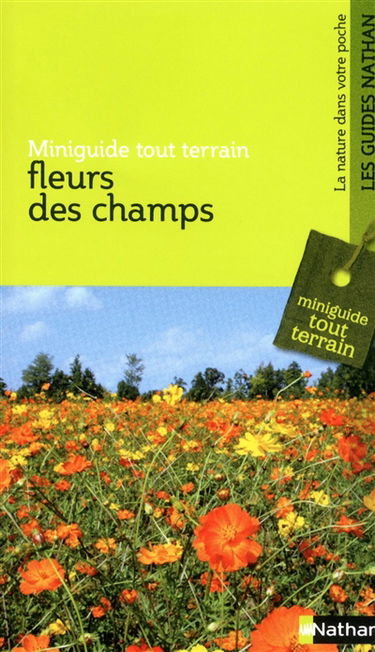 Fleurs des champs