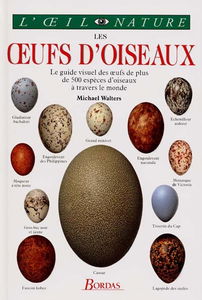 Les oeufs d'oiseaux