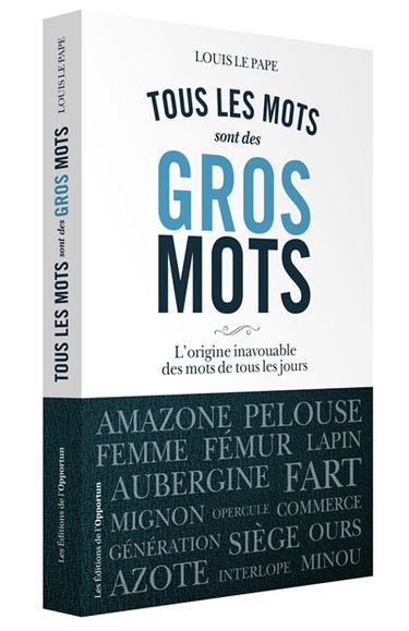 Tous les mots sont des gros mots : l'histoire très secrète des mots de tous les jours