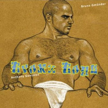 Couverture de Bronxboys