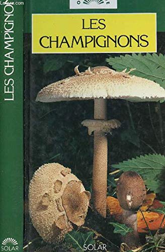 Les Champignons