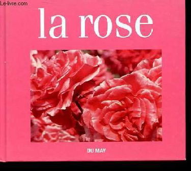 La rose