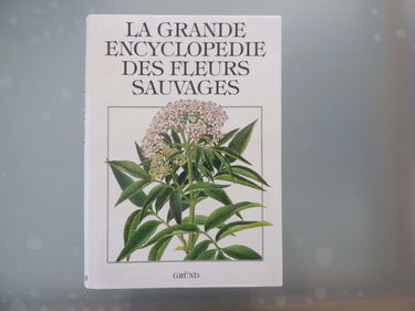 Fleurs sauvages
